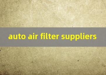 auto air filter suppliers